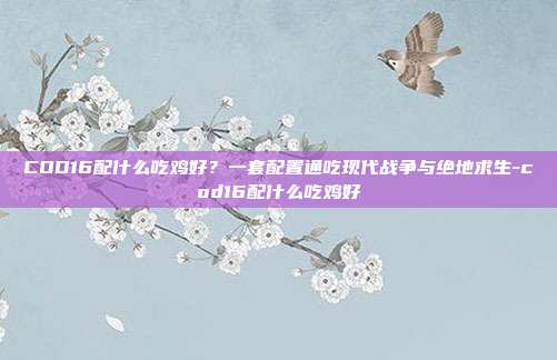COD16配什么吃鸡好？一套配置通吃现代战争与绝地求生-cod16配什么吃鸡好