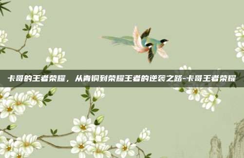 卡哥的王者荣耀,从青铜到荣耀王者的逆袭之路-卡哥王者荣耀