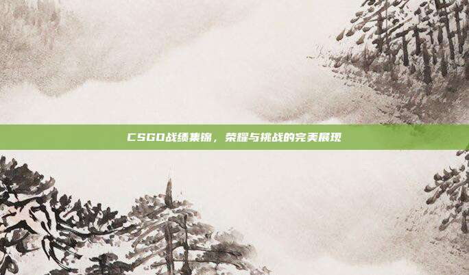 CSGO战绩集锦，荣耀与挑战的完美展现