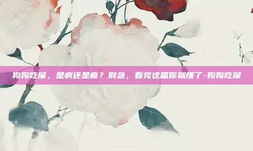 狗狗吃屎,是病还是瘾?别急,看完这篇你就懂了-狗狗吃屎