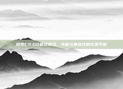 探索CS:GO最佳驱动,性能与兼容性的完美平衡