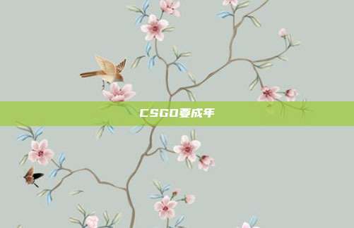 CSGO要成年