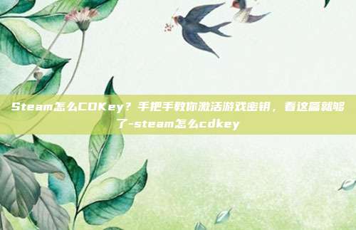 Steam怎么CDKey？手把手教你激活游戏密钥，看这篇就够了-steam怎么cdkey