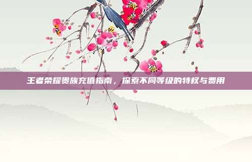 王者荣耀贵族充值指南,探索不同等级的特权与费用
