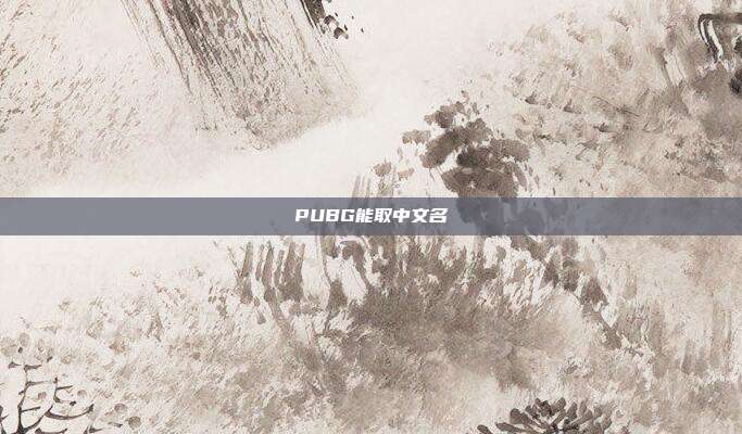 PUBG能取中文名