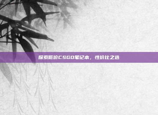 探索低价CSGO笔记本,性价比之选