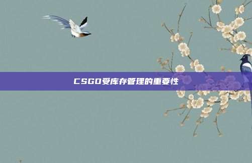 CSGO受库存管理的重要性
