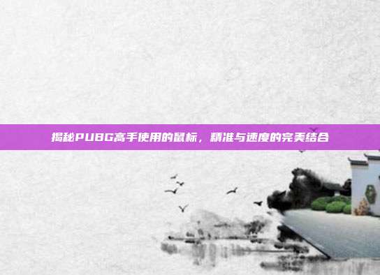 揭秘PUBG高手使用的鼠标，精准与速度的完美结合
