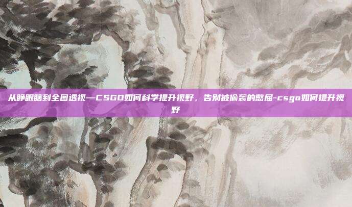 从睁眼瞎到全图透视—CSGO如何科学提升视野,告别被偷袭的憋屈-csgo如何提升视野