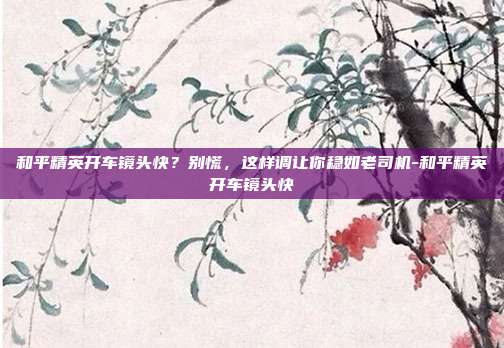 和平精英开车镜头快？别慌，这样调让你稳如老司机-和平精英开车镜头快