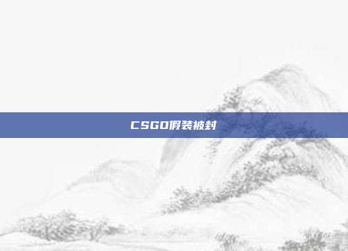 CSGO假装被封