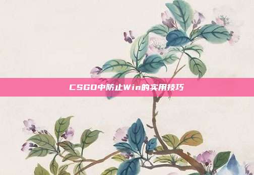 CSGO中防止Win的实用技巧