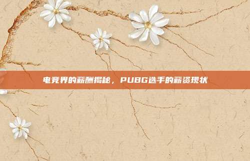 电竞界的薪酬揭秘,PUBG选手的薪资现状