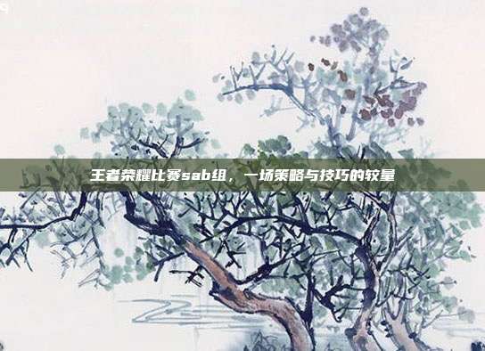 王者荣耀比赛sab组，一场策略与技巧的较量