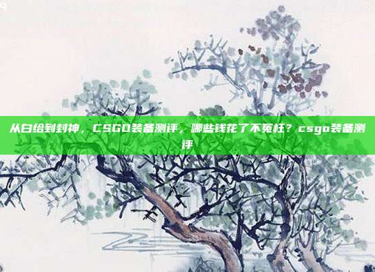 从白给到封神，CSGO装备测评，哪些钱花了不冤枉？csgo装备测评