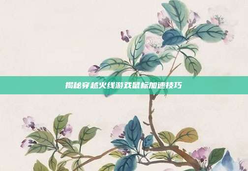 揭秘穿越火线游戏鼠标加速技巧