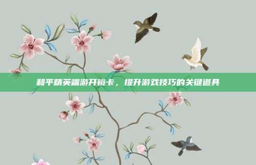和平精英端游开镜卡，提升游戏技巧的关键道具