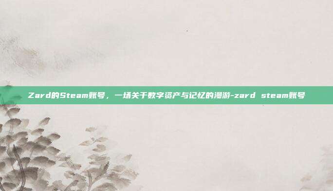 Zard的Steam账号,一场关于数字资产与记忆的漫游-zard steam账号