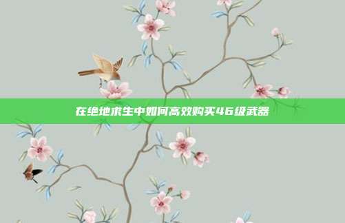 在绝地求生中如何高效购买46级武器