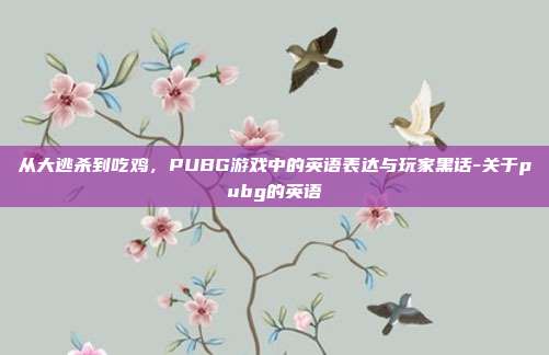 从大逃杀到吃鸡，PUBG游戏中的英语表达与玩家黑话-关于pubg的英语