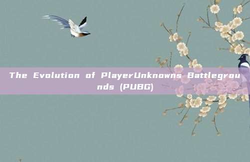 The Evolution of PlayerUnknowns Battlegrounds (PUBG)