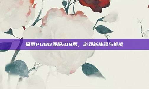 探索PUBG亚服iOS版,游戏新体验与挑战