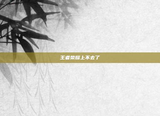 王者荣耀上不去了