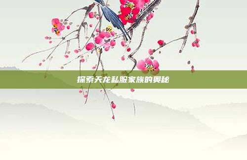 探索天龙私服家族的奥秘