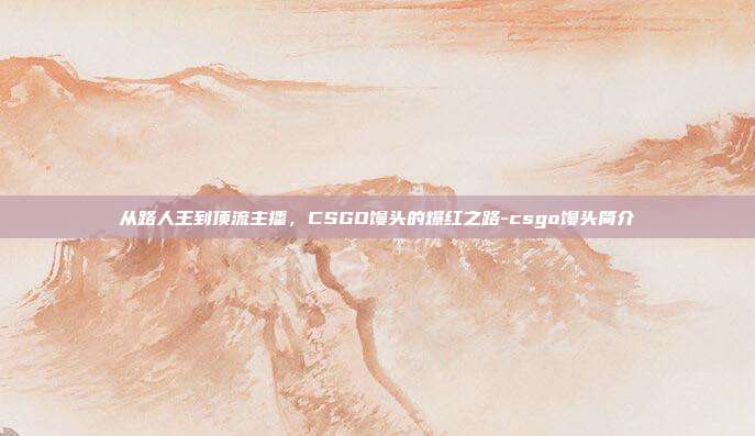 从路人王到顶流主播，CSGO馒头的爆红之路-csgo馒头简介