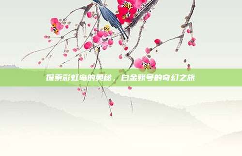 探索彩虹岛的奥秘,白金账号的奇幻之旅