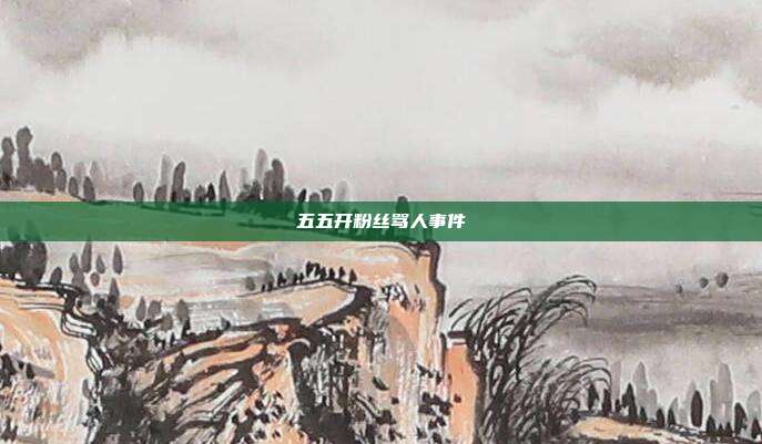 五五开粉丝骂人事件