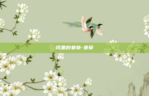 风里的姜草-姜草