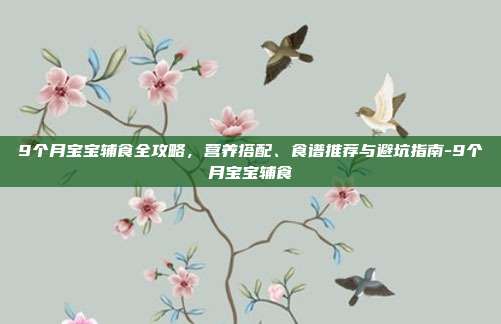 9个月宝宝辅食全攻略，营养搭配、食谱推荐与避坑指南-9个月宝宝辅食