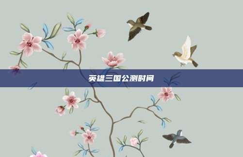 英雄三国公测时间