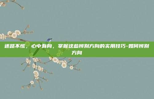 迷路不慌，心中有向，掌握这些辨别方向的实用技巧-如何辨别方向