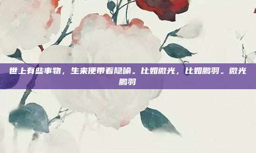 世上有些事物，生来便带着隐喻。比如微光，比如鹏羽。微光鹏羽