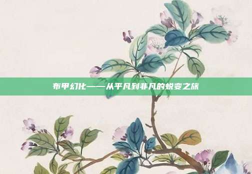 布甲幻化——从平凡到非凡的蜕变之旅