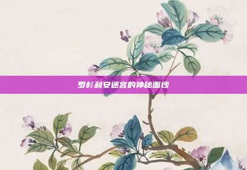 罗杉利安迷宫的神秘面纱