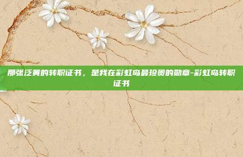 那张泛黄的转职证书,是我在彩虹岛最珍贵的勋章-彩虹岛转职证书