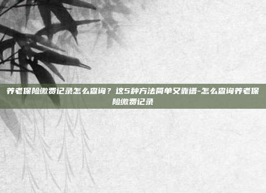 养老保险缴费记录怎么查询？这5种方法简单又靠谱-怎么查询养老保险缴费记录