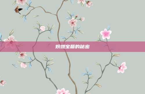 炽燃宝箱的秘密