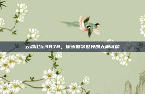云鼎论坛3878，探索数字世界的无限可能