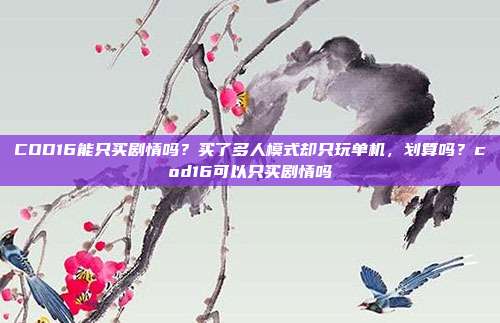 COD16能只买剧情吗?买了多人模式却只玩单机,划算吗?cod16可以只买剧情吗