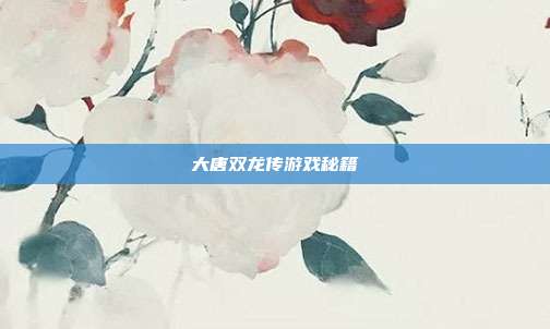 大唐双龙传游戏秘籍