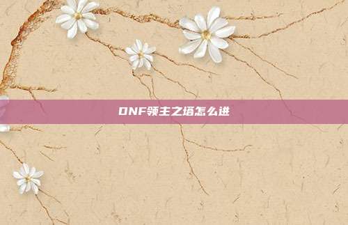 DNF领主之塔怎么进