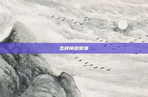 怎样镶嵌徽章