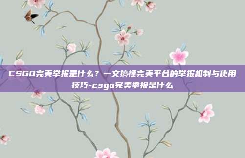 CSGO完美举报是什么？一文搞懂完美平台的举报机制与使用技巧-csgo完美举报是什么
