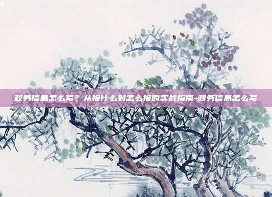 政务信息怎么写?从报什么到怎么报的实战指南-政务信息怎么写