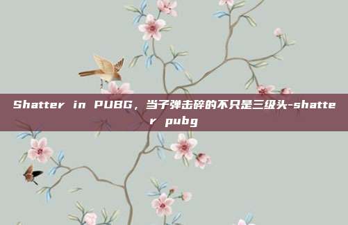 Shatter in PUBG,当子弹击碎的不只是三级头-shatter pubg