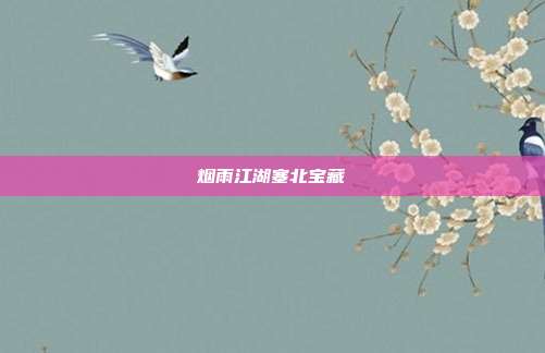 烟雨江湖塞北宝藏
